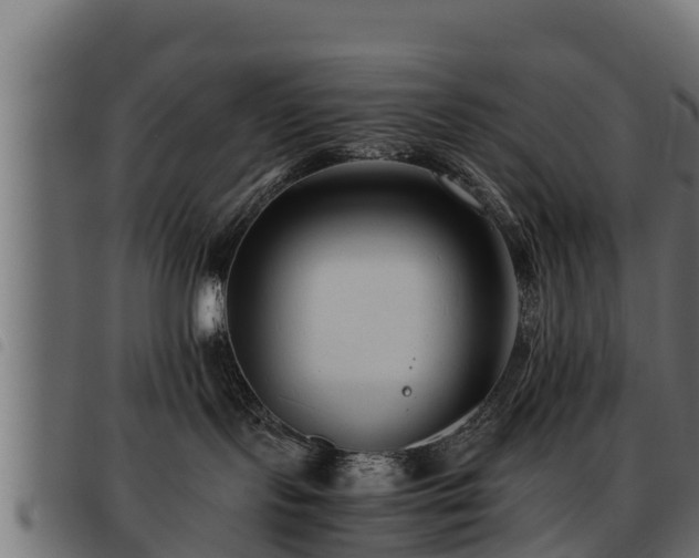X0000093490095200710121516