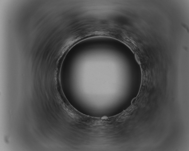 X0000093490098200710121515