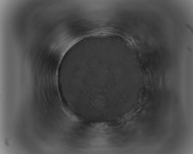 X0000093490100200710121515