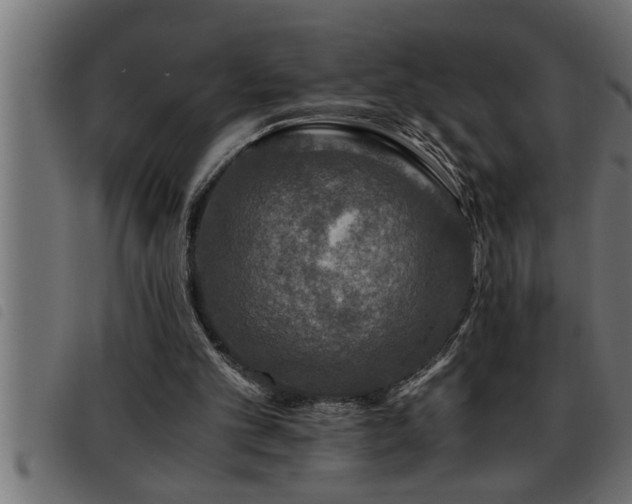 X0000093490101200710121515