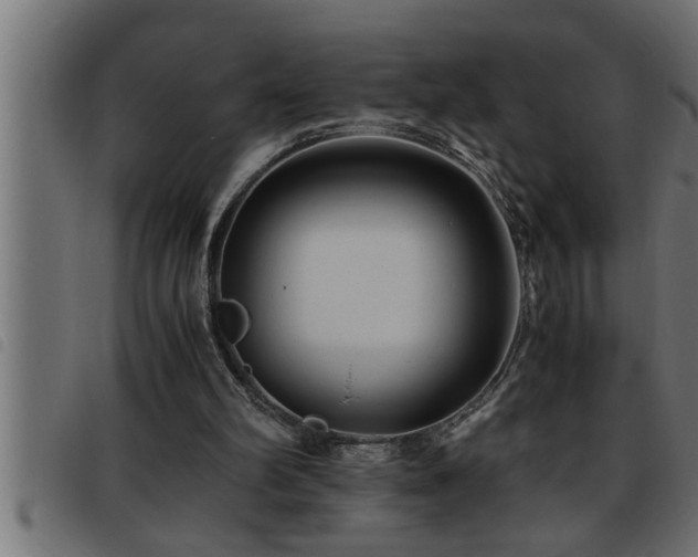 X0000093490102200710121515