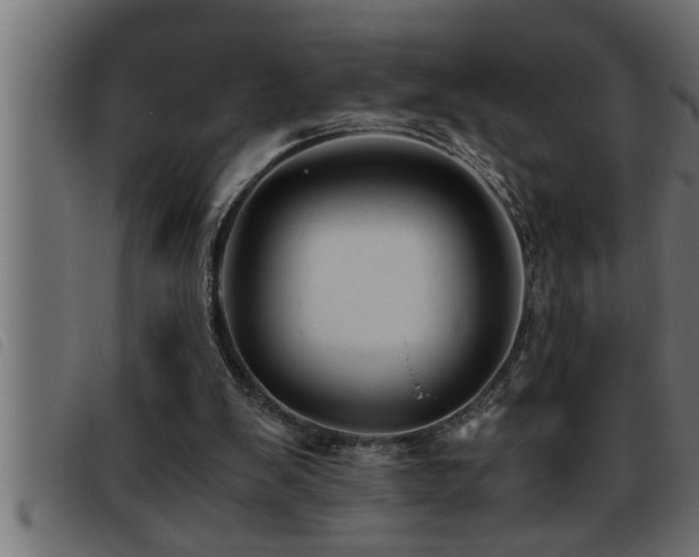 X0000093490103200710121515