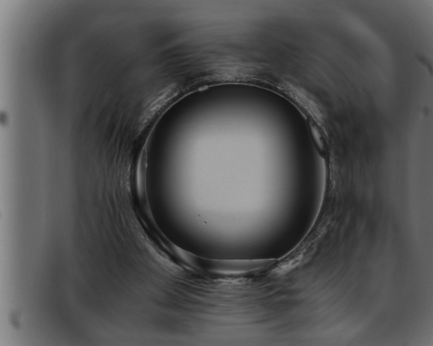 X0000093490105200710121515