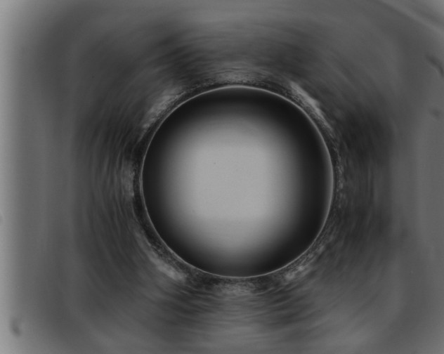 X0000093490106200710121515