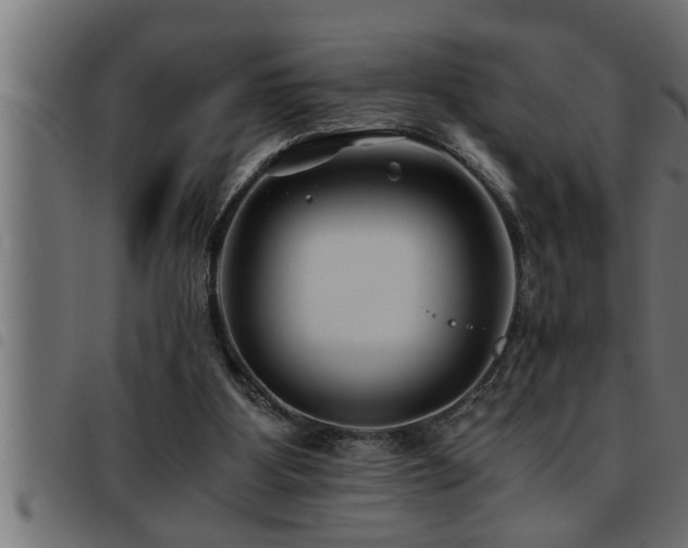 X0000093490107200710121515