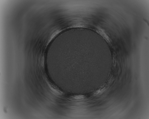 X0000093490108200710121515