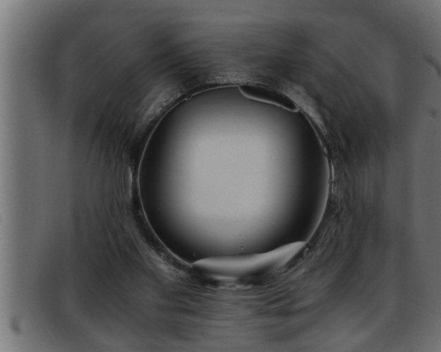 X0000093490109200710121515