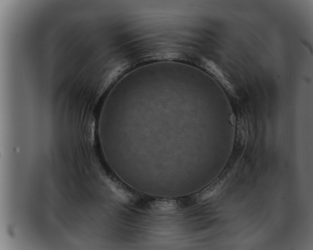 X0000093490110200710121515