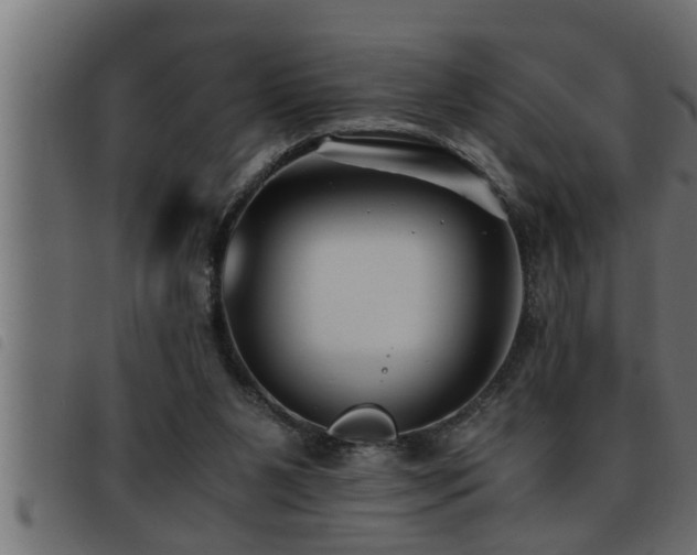 X0000093490111200710121515