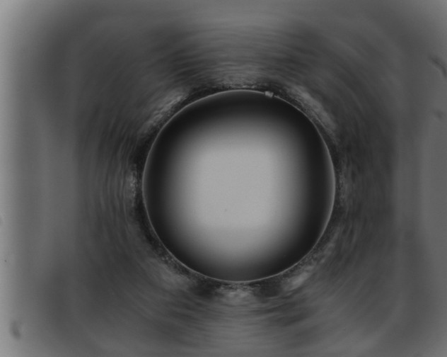 X0000093490113200710121515