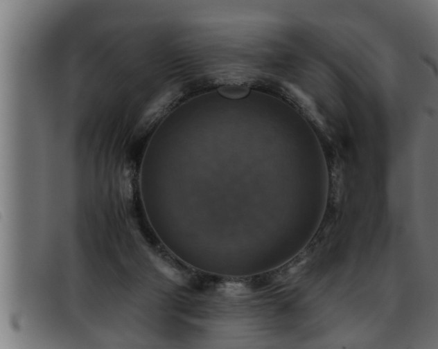 X0000093490114200710121515