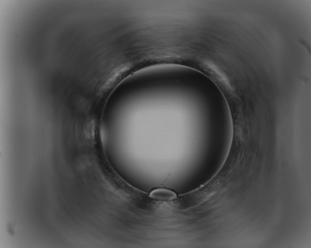 X0000093490115200710121515