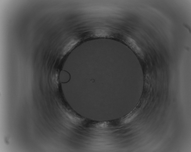 X0000093490116200710121515