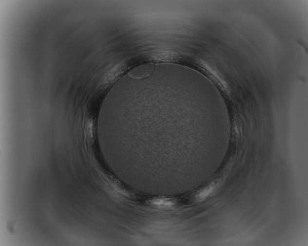 X0000093490117200710121515