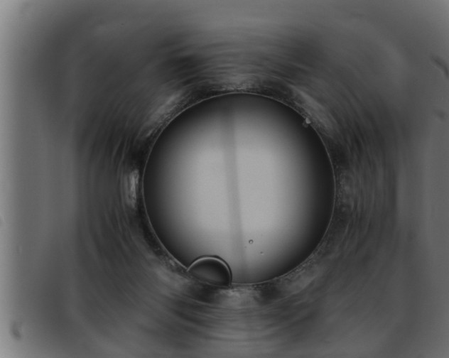 X0000093490118200710121515