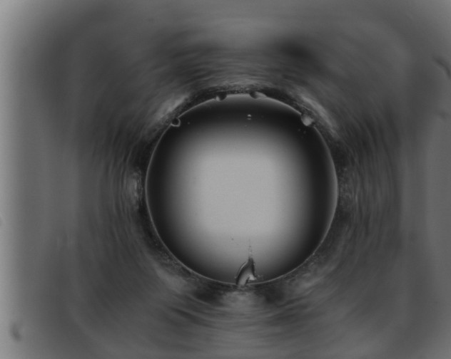 X0000093490119200710121515