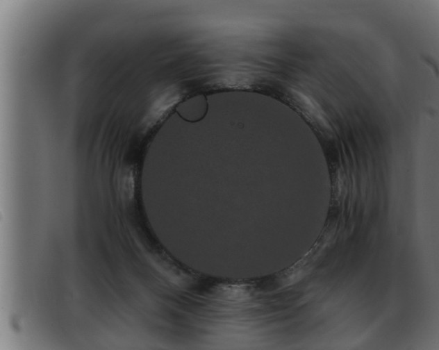 X0000093490120200710121515