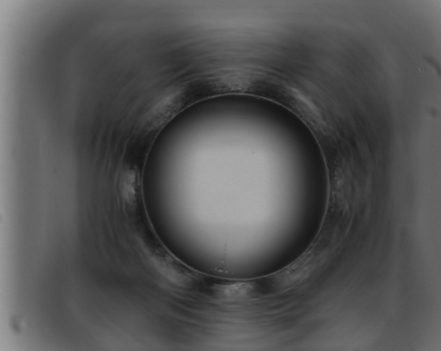 X0000093490122200710121515