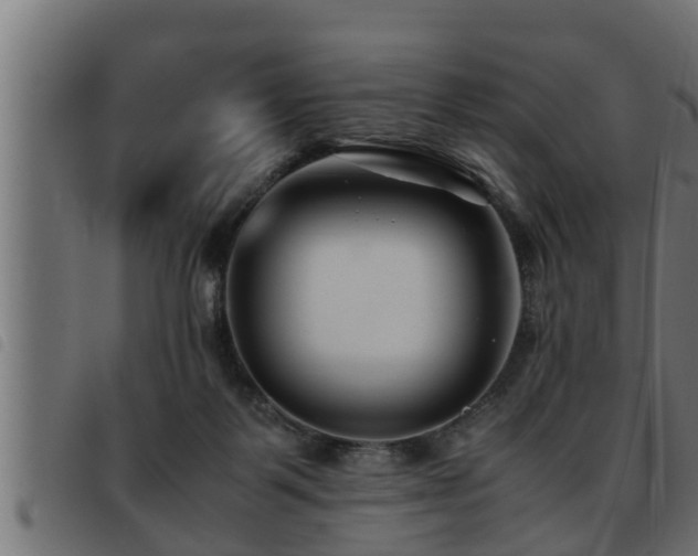 X0000093490123200710121515