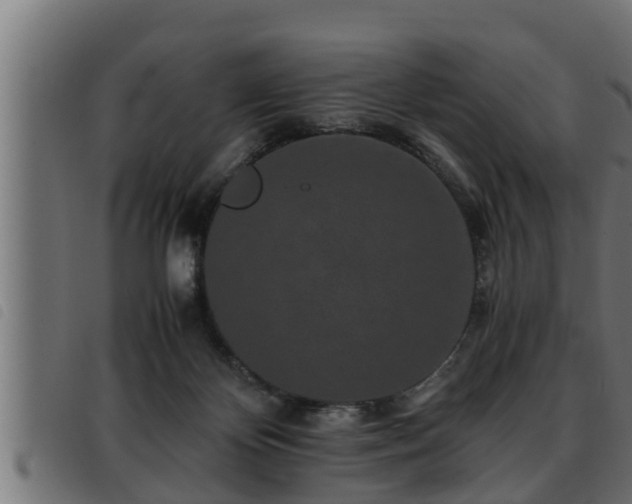 X0000093490124200710121515