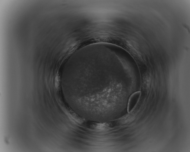 X0000093490130200710121515