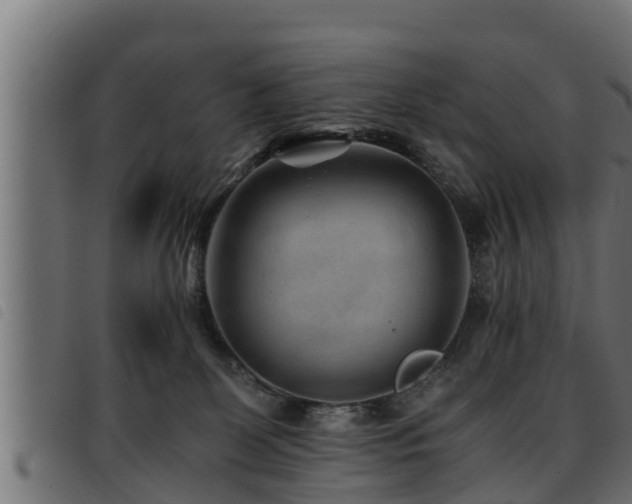 X0000093490131200710121514