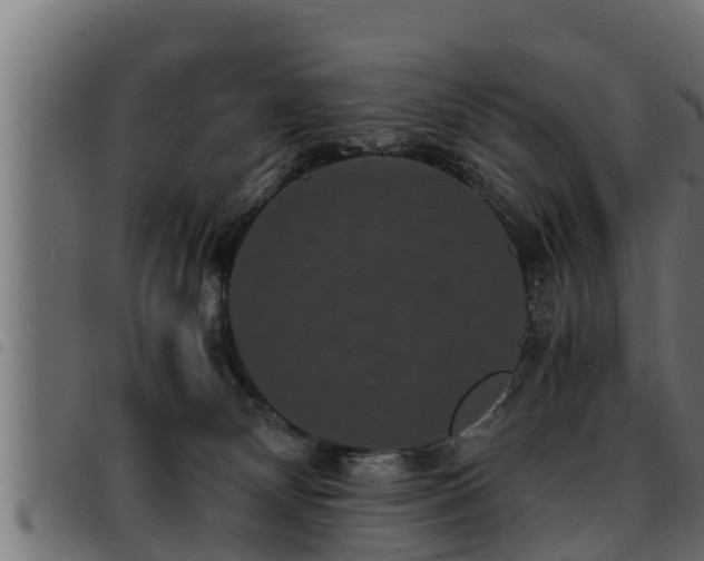 X0000093490132200710121514