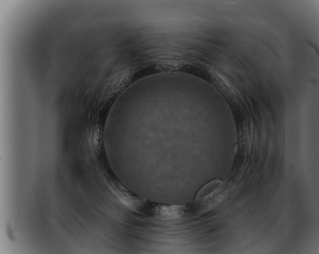 X0000093490134200710121514