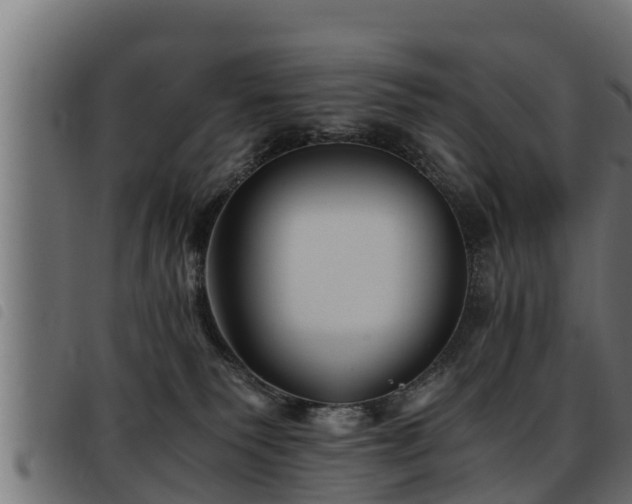 X0000093490135200710121514