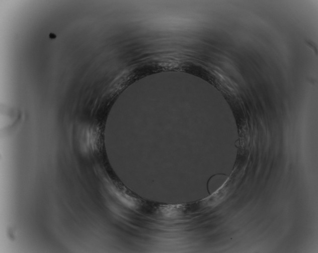 X0000093490136200710121514