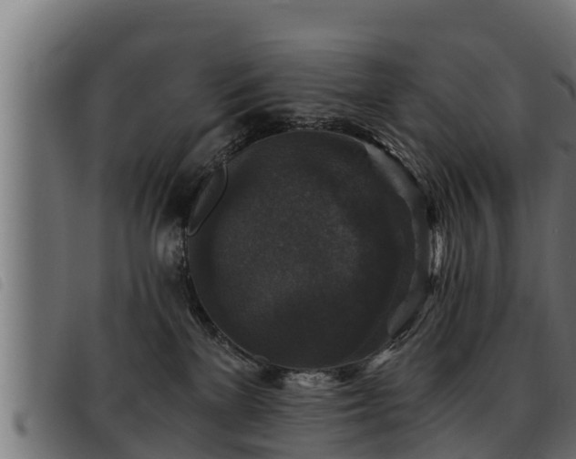 X0000093490137200710121514