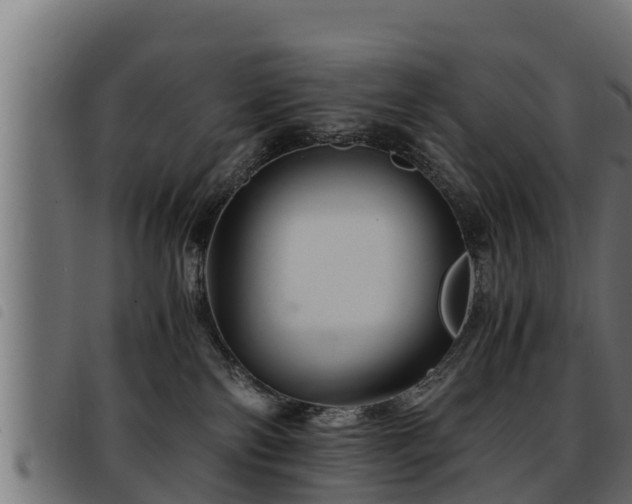 X0000093490138200710121514