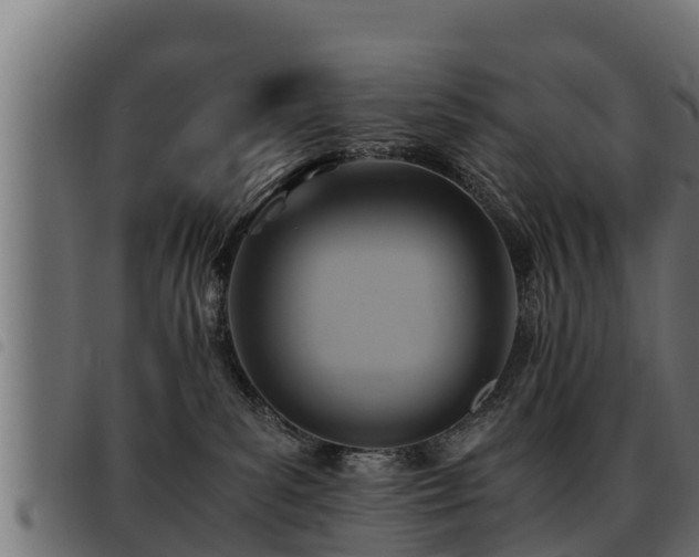 X0000093490139200710121514