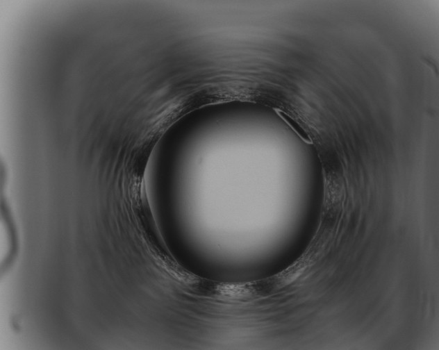 X0000093490141200710121514