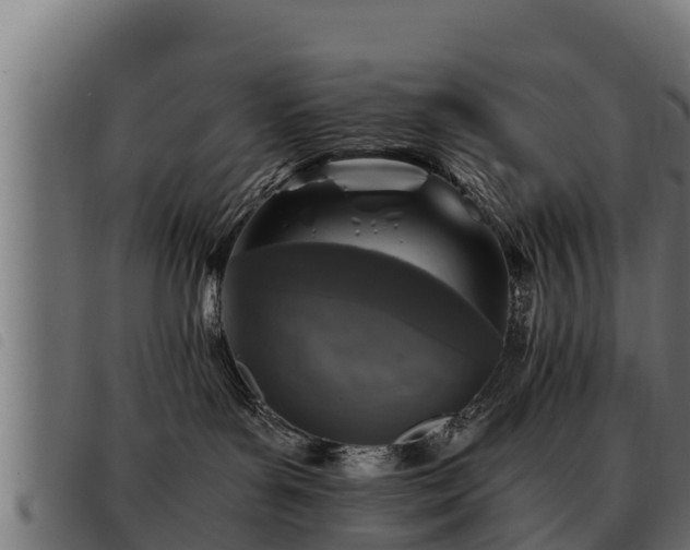 X0000093490143200710121514