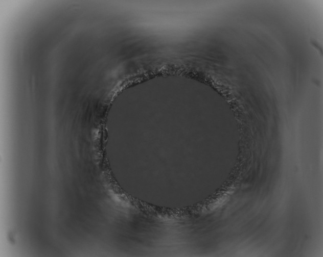 X0000093490144200710121514