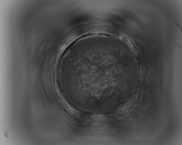 X0000093490145200710121514