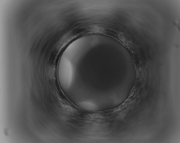 X0000093490146200710121514