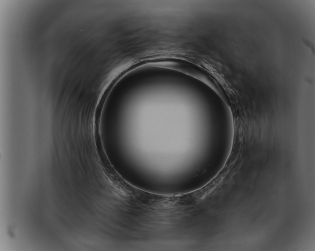 X0000093490148200710121514