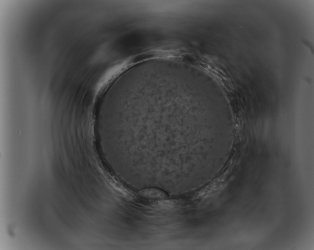 X0000093490149200710121514
