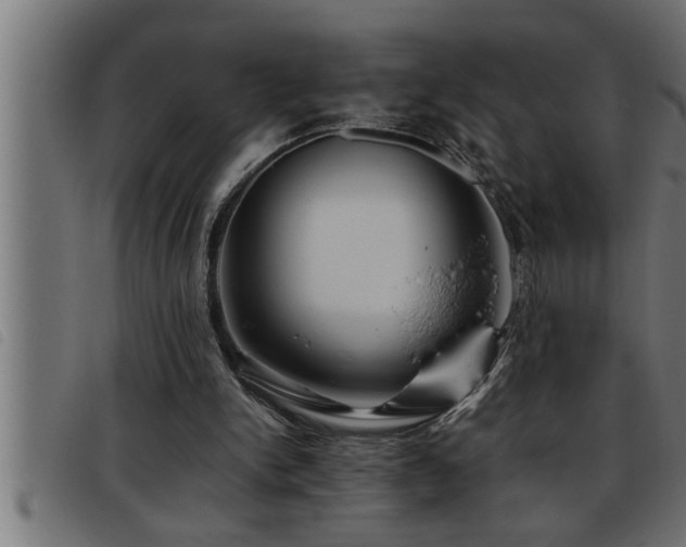 X0000093490150200710121514