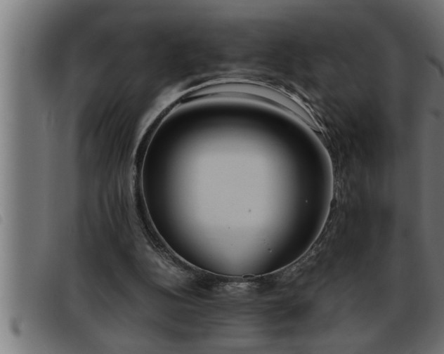 X0000093490152200710121514
