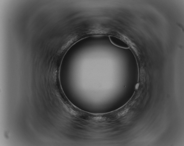 X0000093490153200710121514