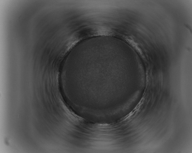 X0000093490154200710121514
