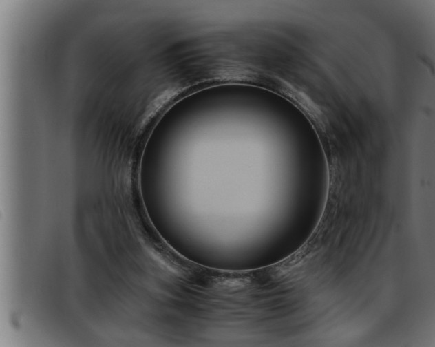X0000093490155200710121514