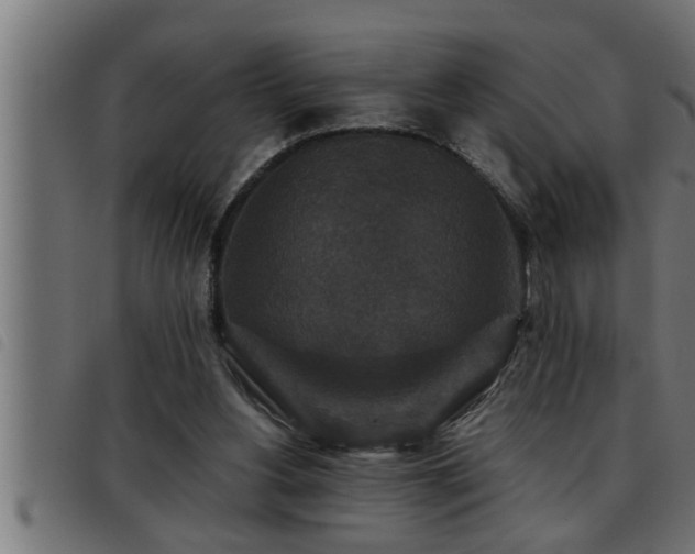 X0000093490156200710121514