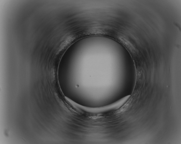 X0000093490158200710121514