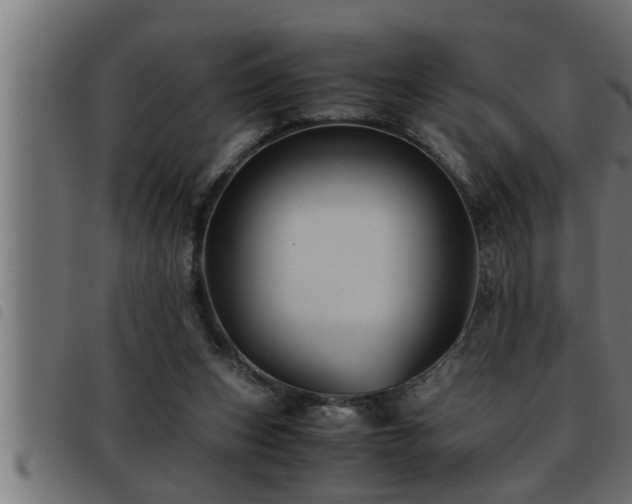 X0000093490159200710121514