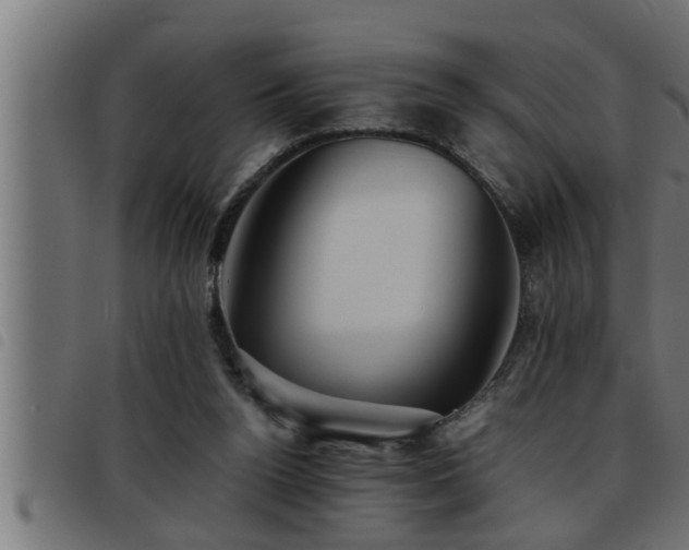 X0000093490160200710121514