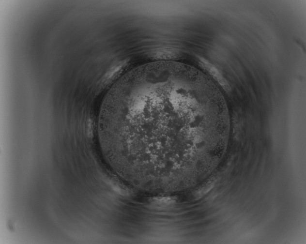 X0000093490161200710121514